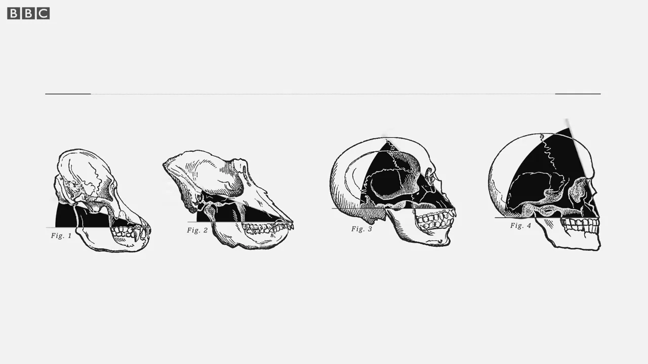 Evolution en el móvil